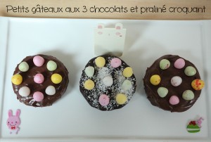 Lire la suite à propos de l’article Croquants au praliné et aux 3 chocolats