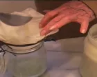31 Liqueur Au Lait